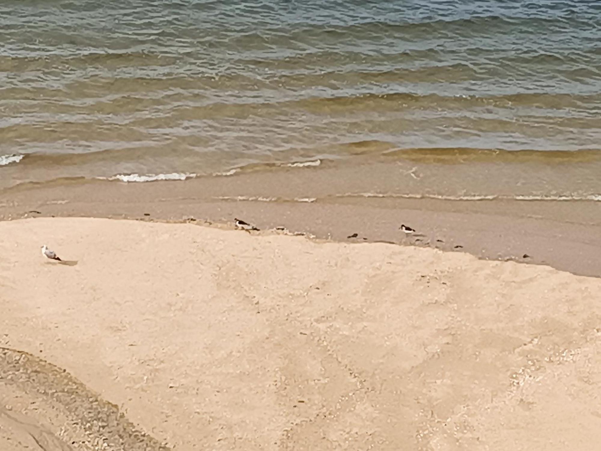 Апартаменты Mirador Mar De Castelao, 1ª Linea De Playa Urbana Вильянуэва-де-Ароса Экстерьер фото